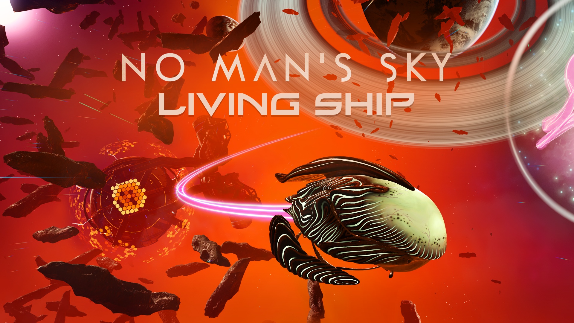No Man's Sky - Living Ship Update