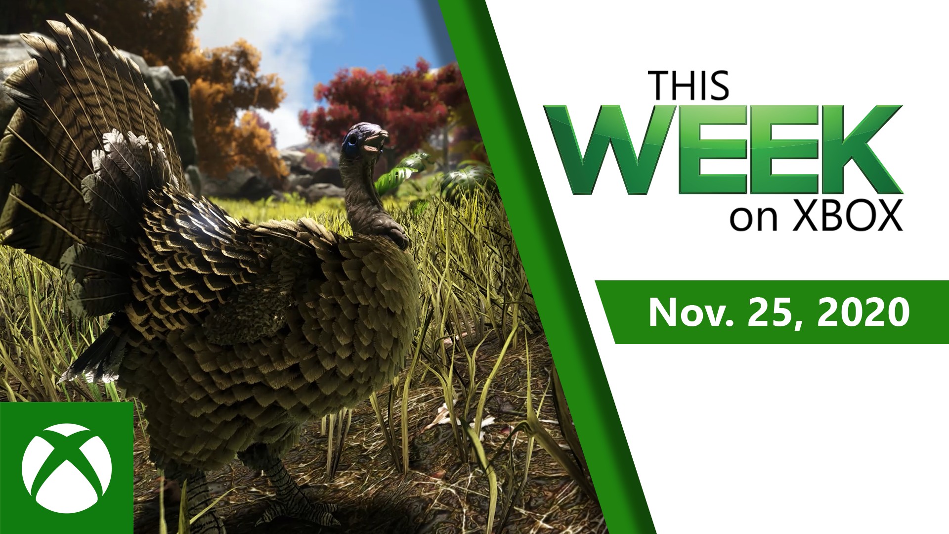This Week on Xbox: November 25
