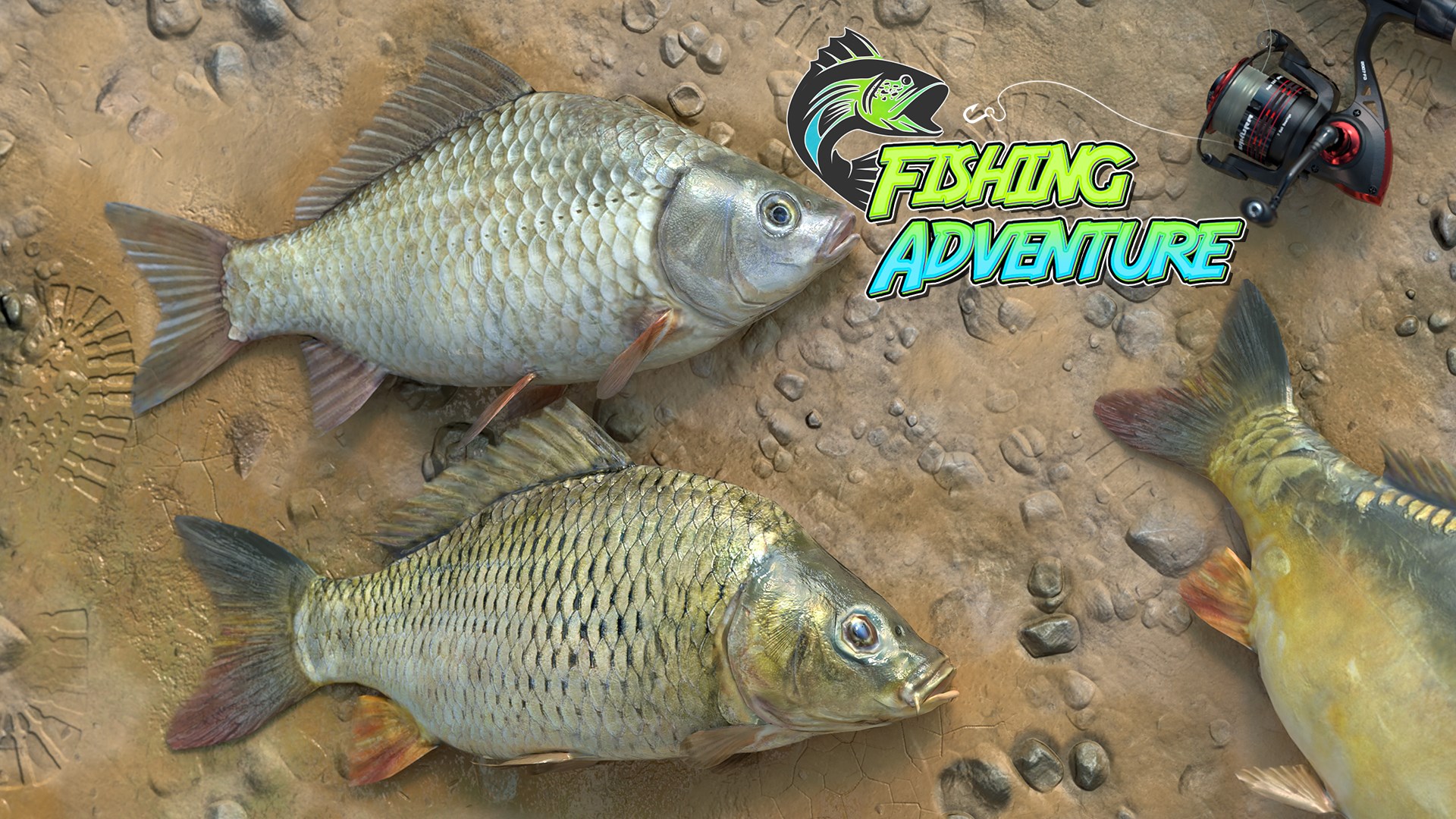 Fishing Adventure Is Now Available For Xbox One And Xbox Series X