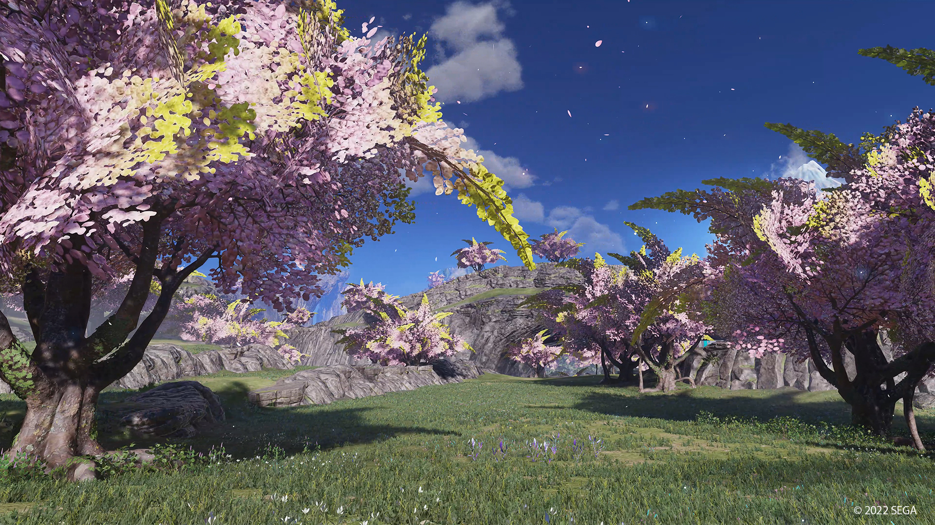Phantasy Star Online 2 New Genesis: Spring Update