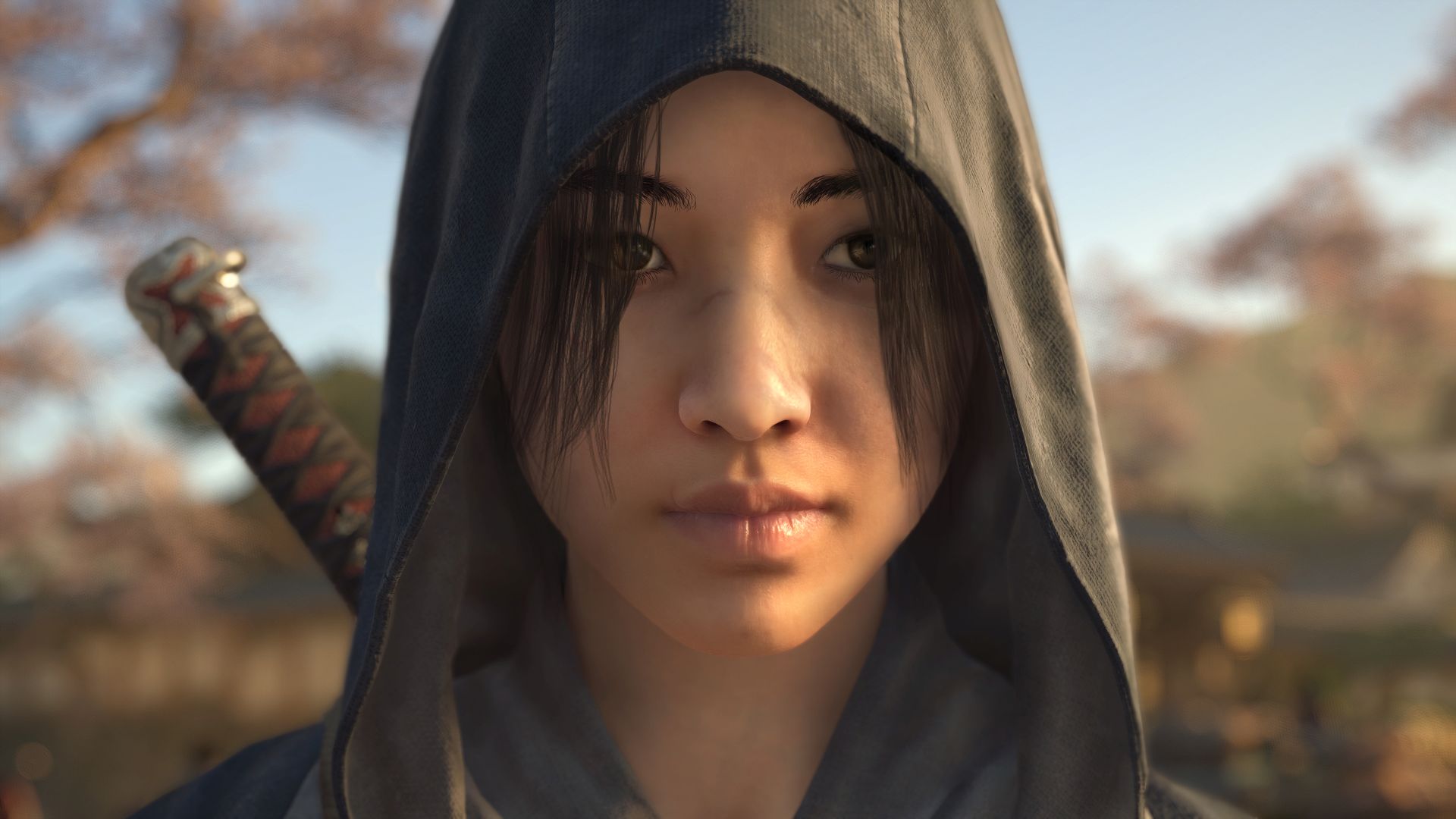 Assassin's Creed Shadows Asset
