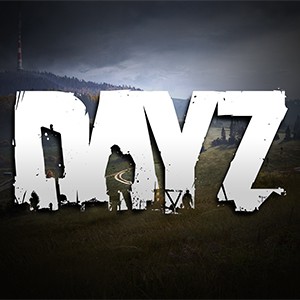 DayZ side image