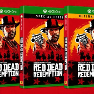 Red Dead Redemption 2 - Hero