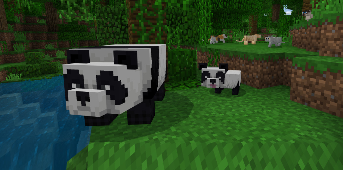 Minecraft: Katzen und Pandas
